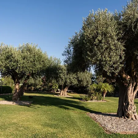 Tenuta Madre